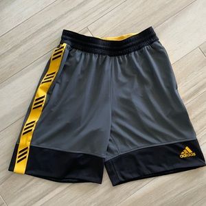 Adidas Men’s Pro Activewear Shorts Grey/yellow XL